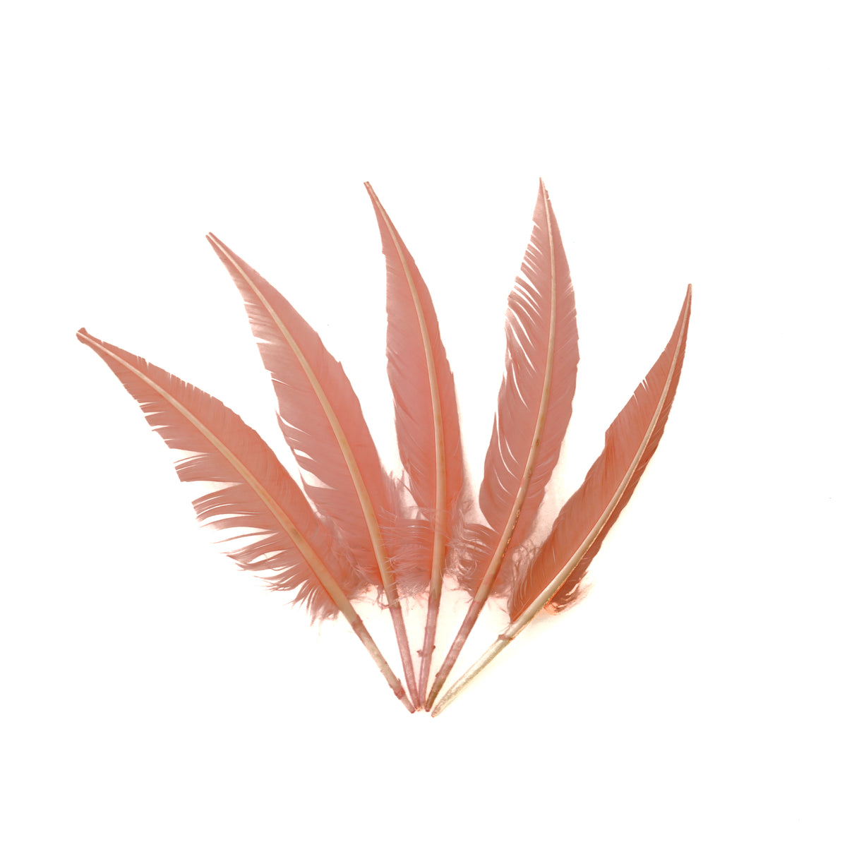 Candy Pink Dagger Turkey Quill Feathers 9-12"