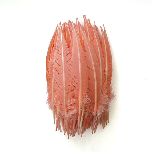 Candy Pink Dagger Turkey Quill Feathers 9-12"