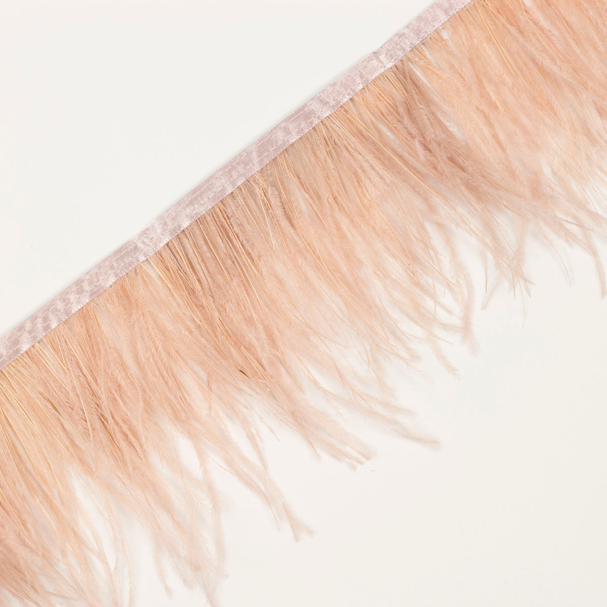 Ostrich Feather Fringe 2PLY - Champagne