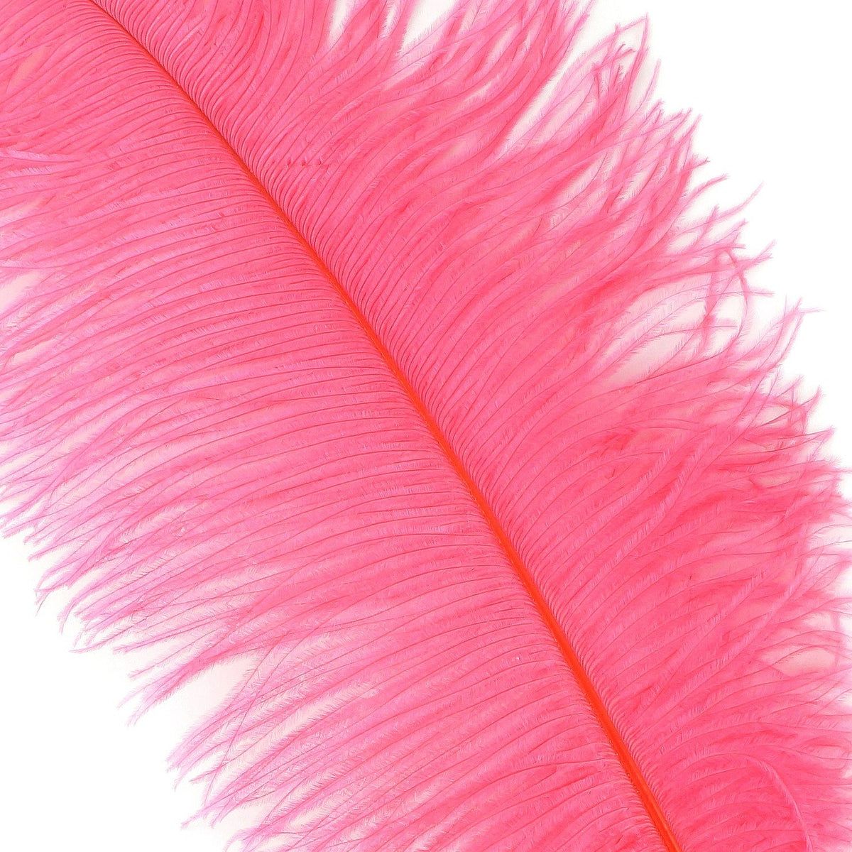 Large Ostrich Feathers - 17"+ Drabs - Coral