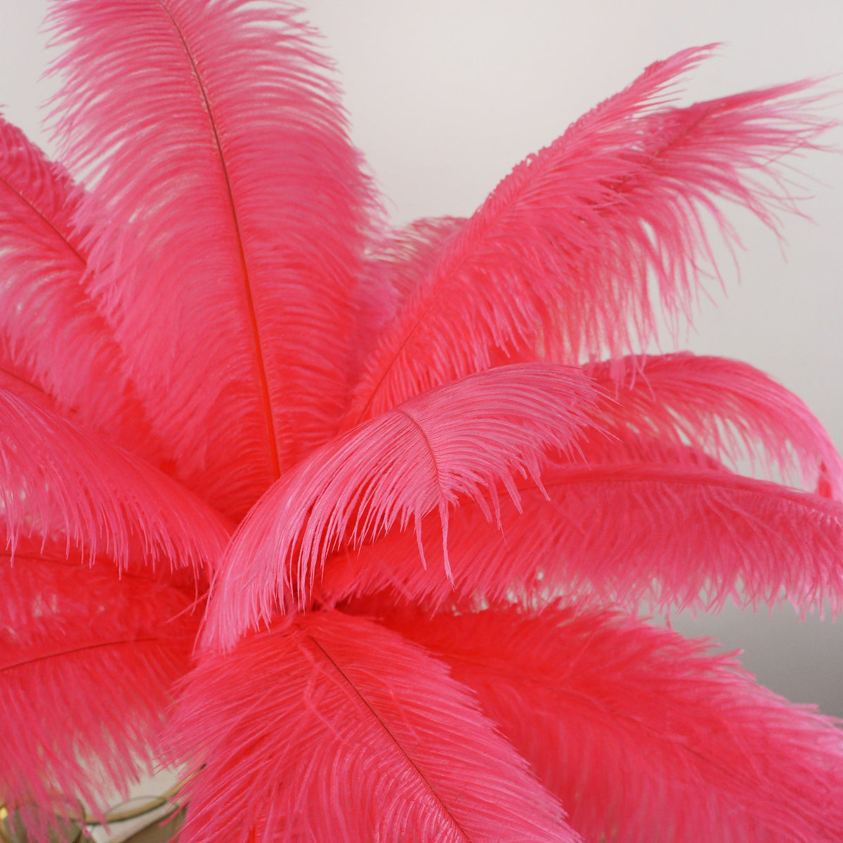 Large Ostrich Feathers - 17"+ Drabs - Coral