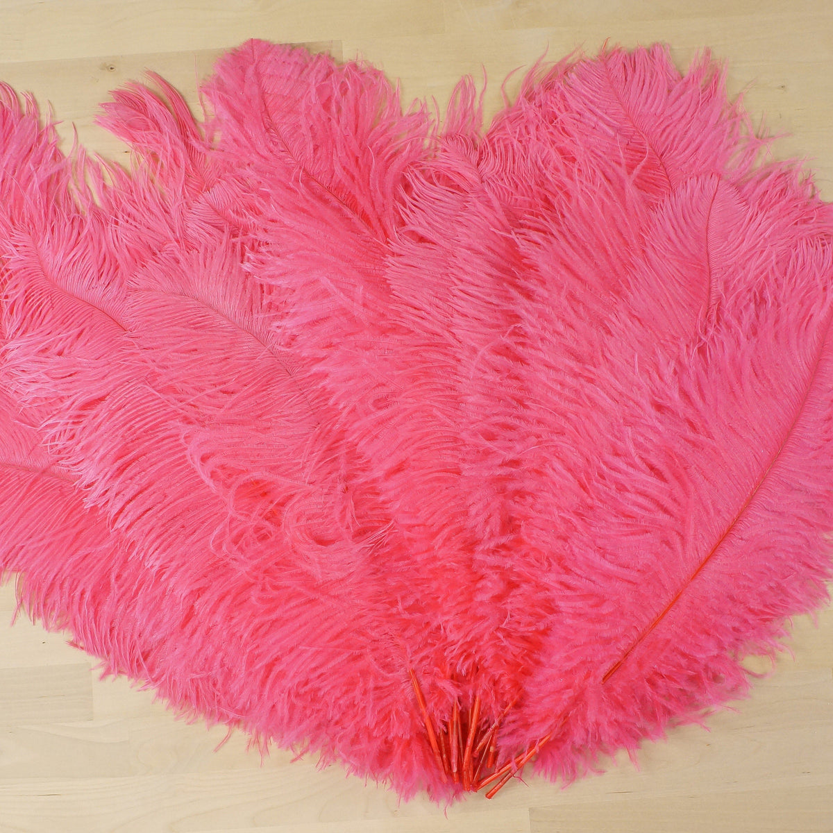 Large Ostrich Feathers - 17"+ Drabs - Coral