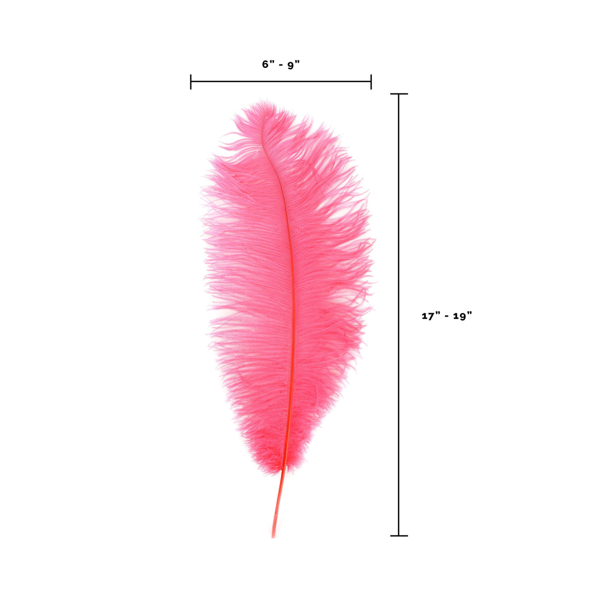 Large Ostrich Feathers - 17"+ Drabs - Coral