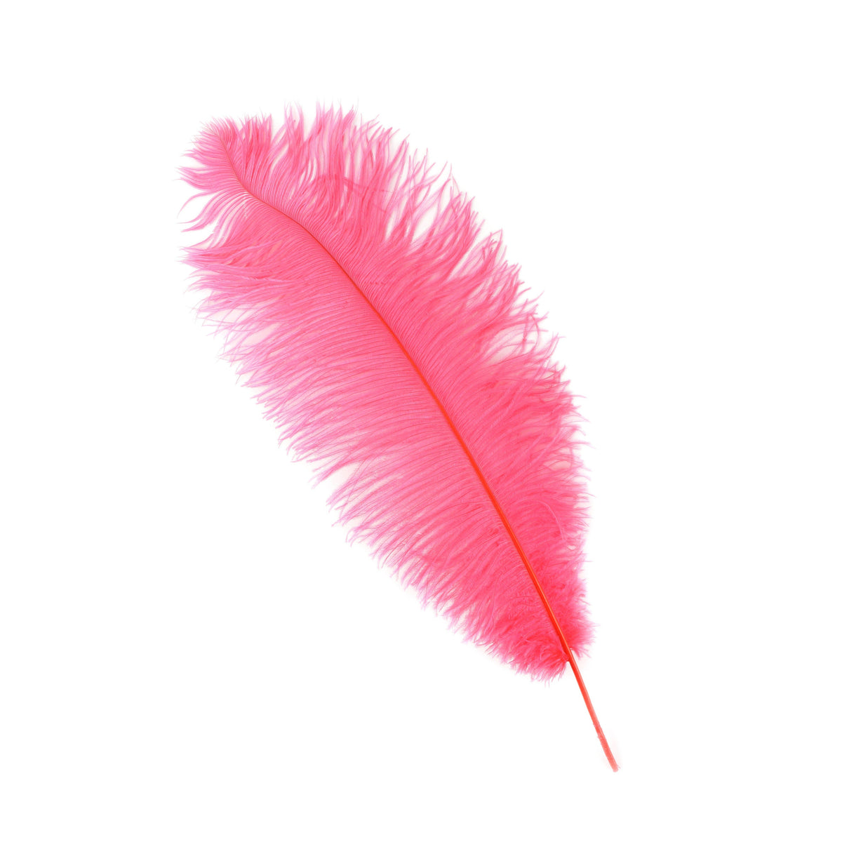 Large Ostrich Feathers - 17"+ Drabs - Coral
