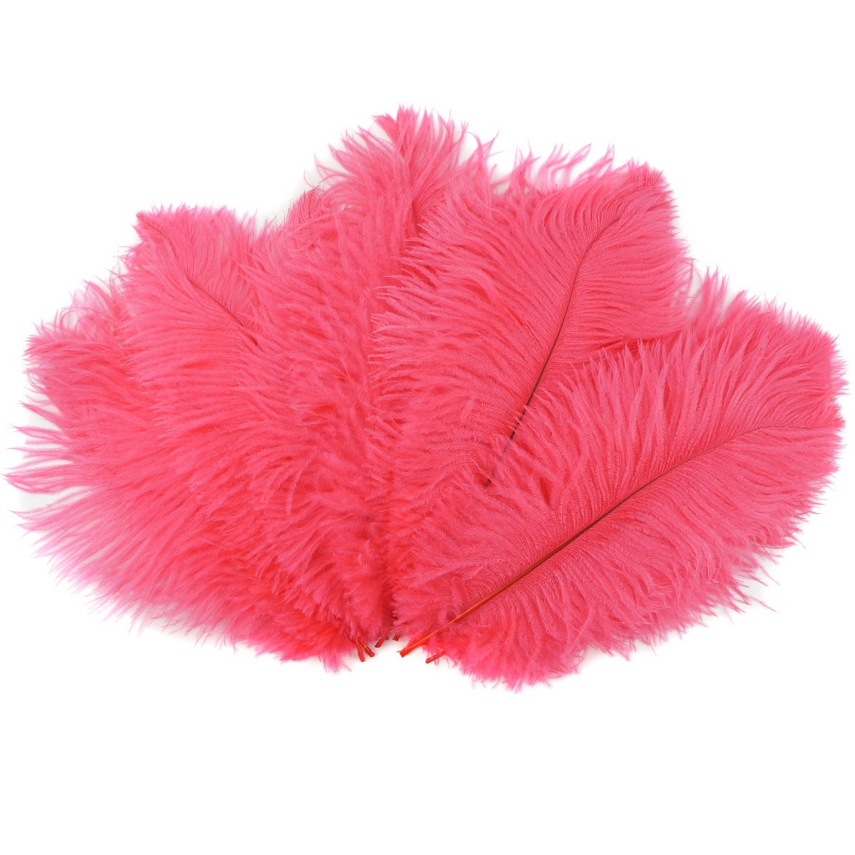 Large Ostrich Feathers - 17"+ Drabs - Coral