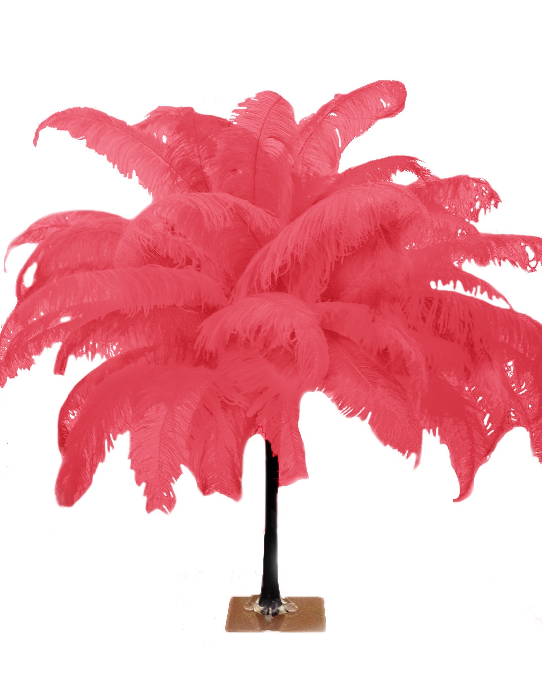 Large Ostrich Feathers - 18-24" Spads - Coral