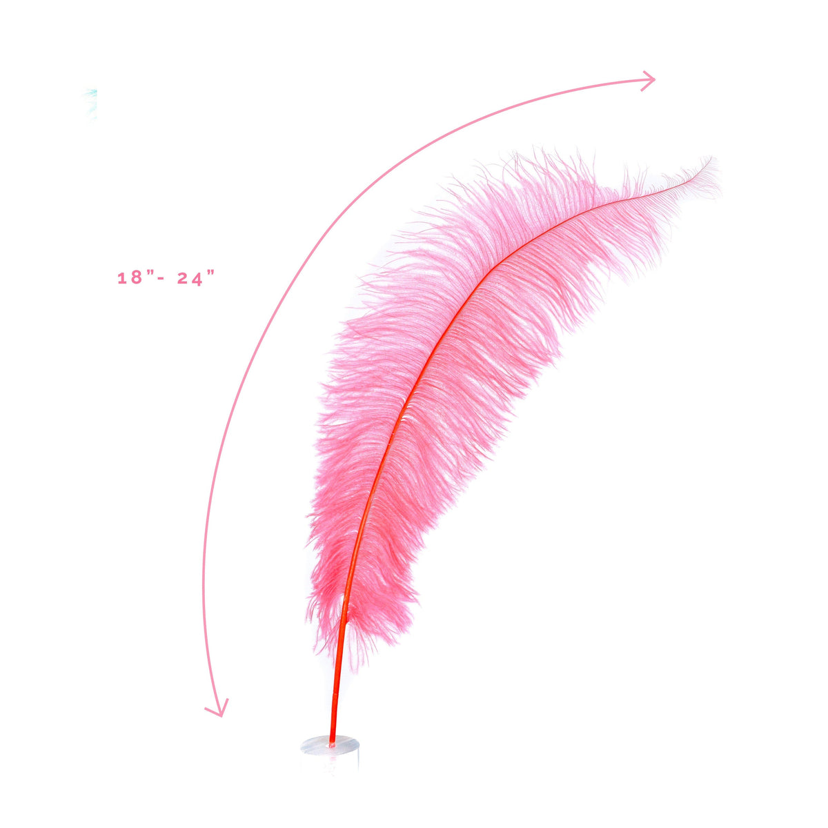 Large Ostrich Feathers - 18-24" Spads - Coral