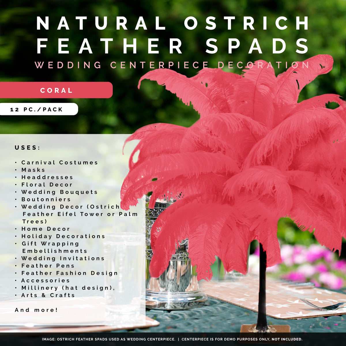 Large Ostrich Feathers - 18-24" Spads - Coral