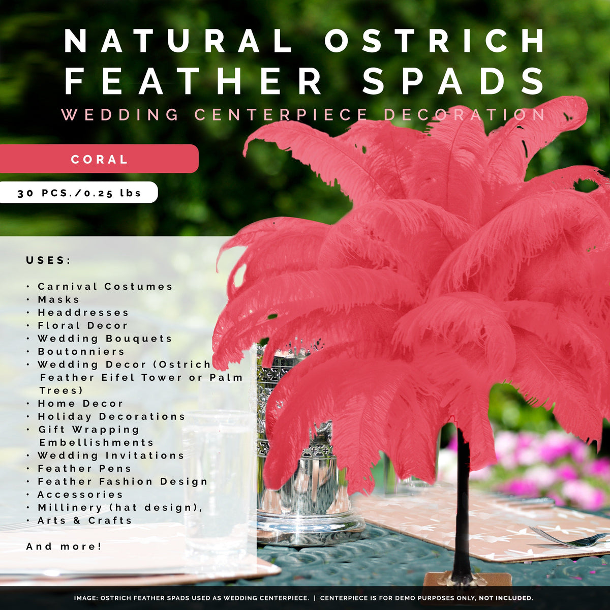 Large Ostrich Feathers - 18-24" Spads - Coral