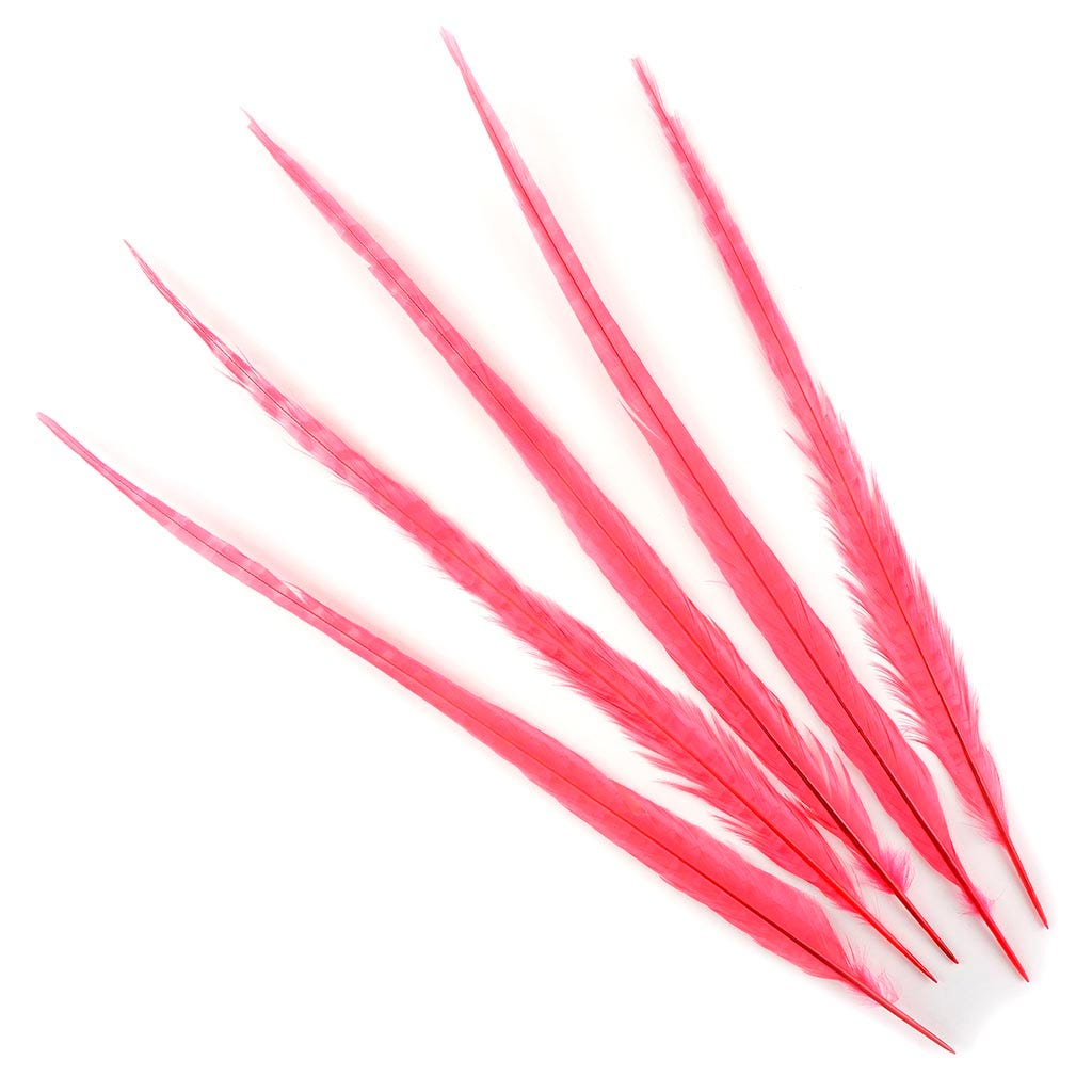 Ringneck Pheasant Tails Bleached & Dyed Coral