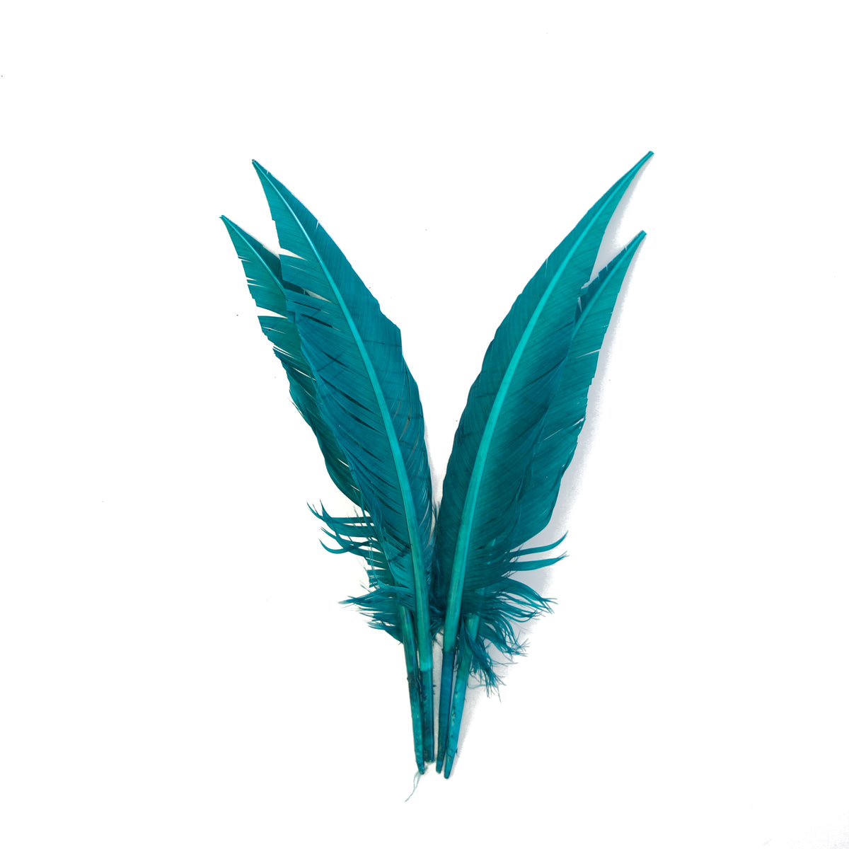 Dark Aqua Dagger Turkey Quill Feathers 9-12"