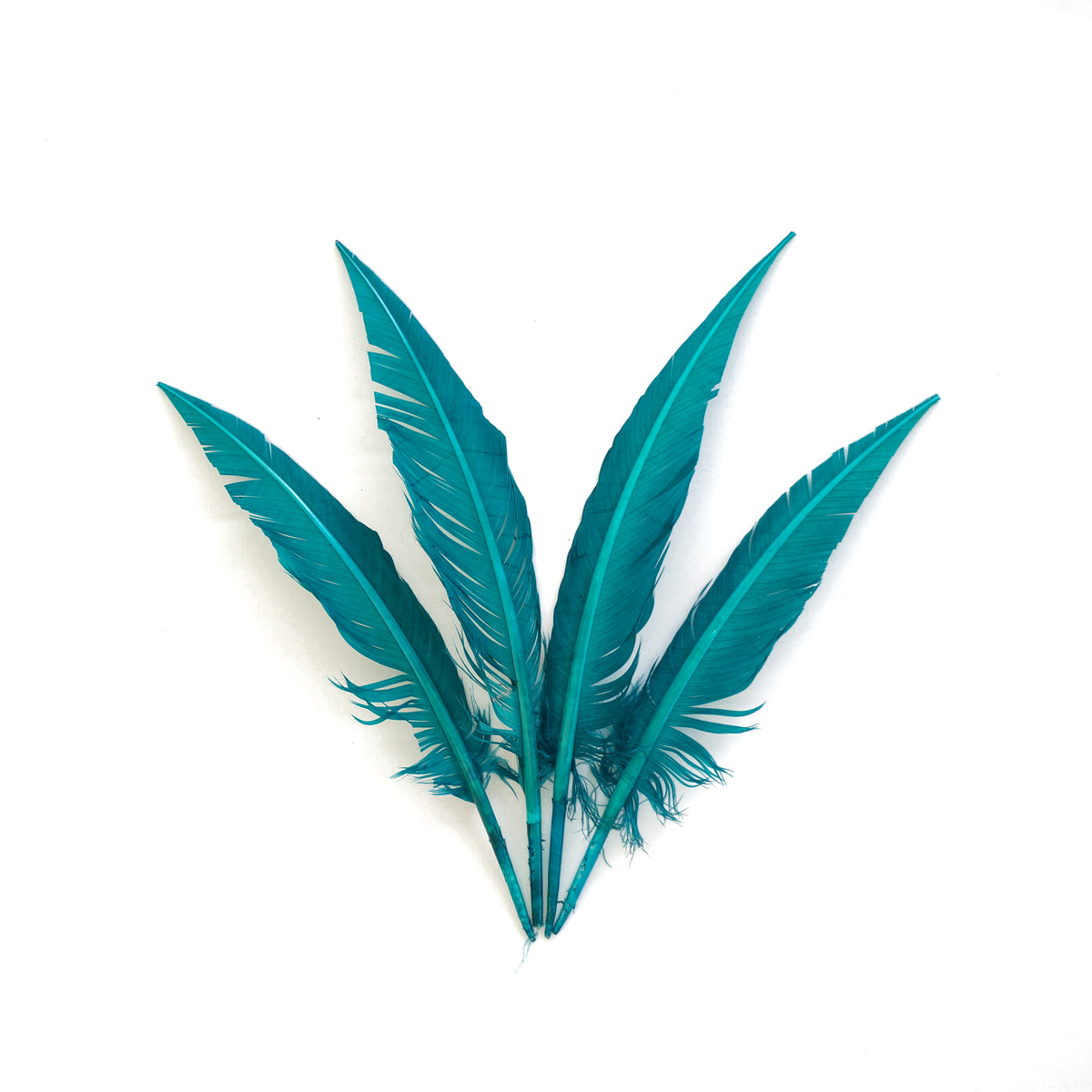 Dark Aqua Dagger Turkey Quill Feathers 9-12"