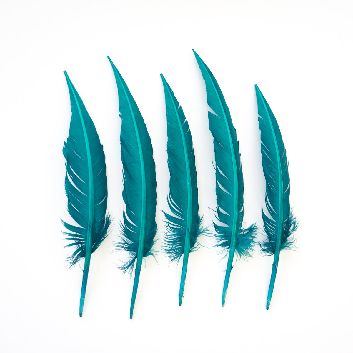 Dark Aqua Dagger Turkey Quill Feathers 9-12"