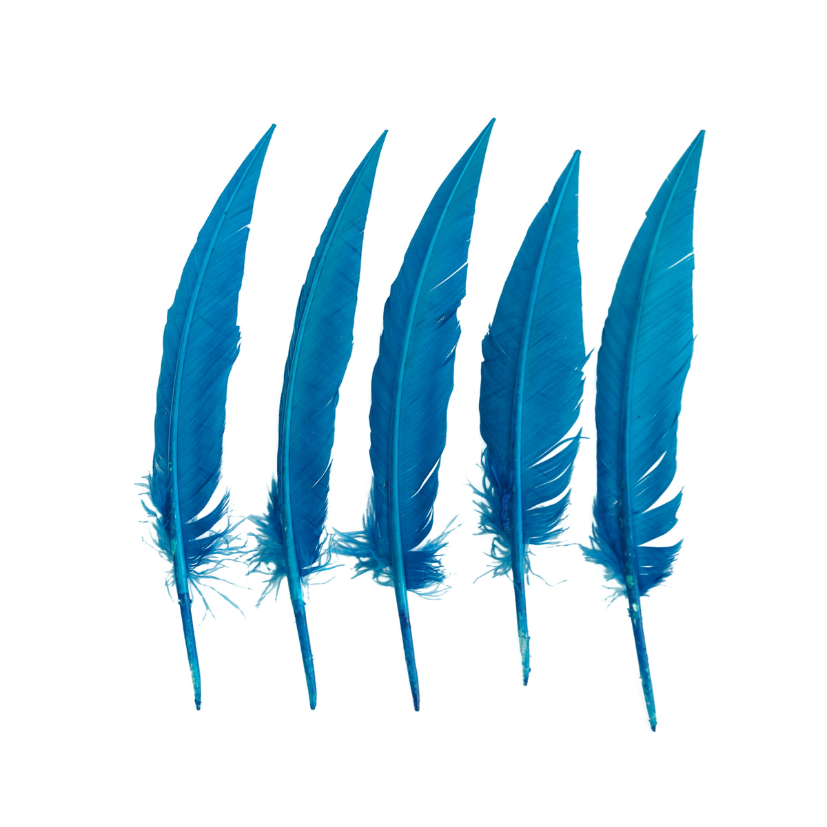 Dark Turquoise Dagger Turkey Quill Feathers 9-12"