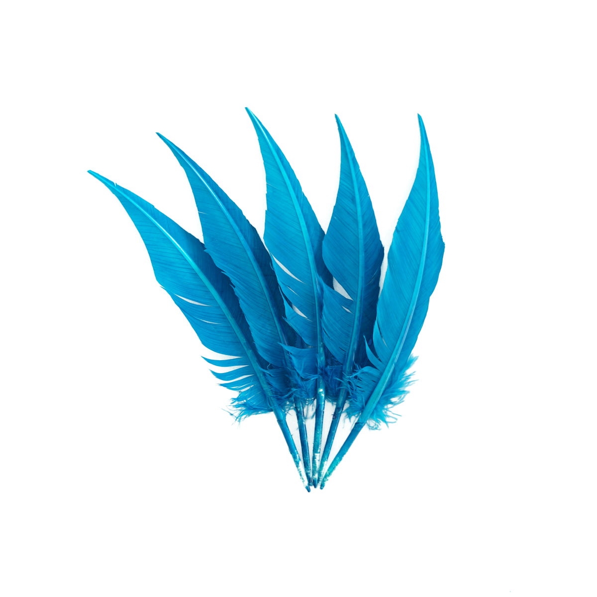 Dark Turquoise Dagger Turkey Quill Feathers 9-12"