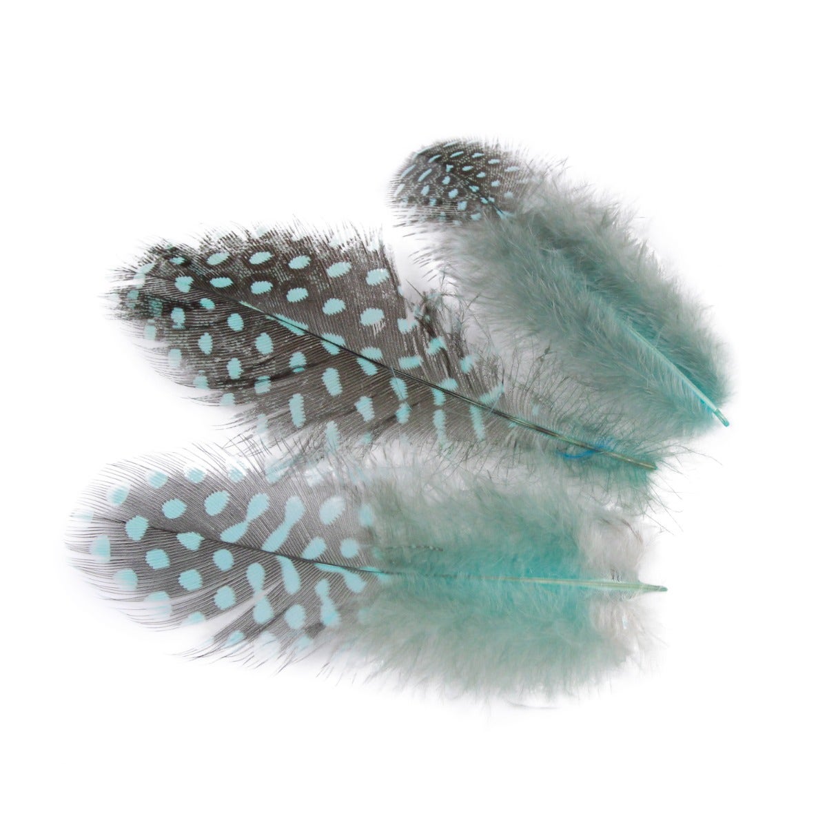 Dream Catcher Kit - Starlight
