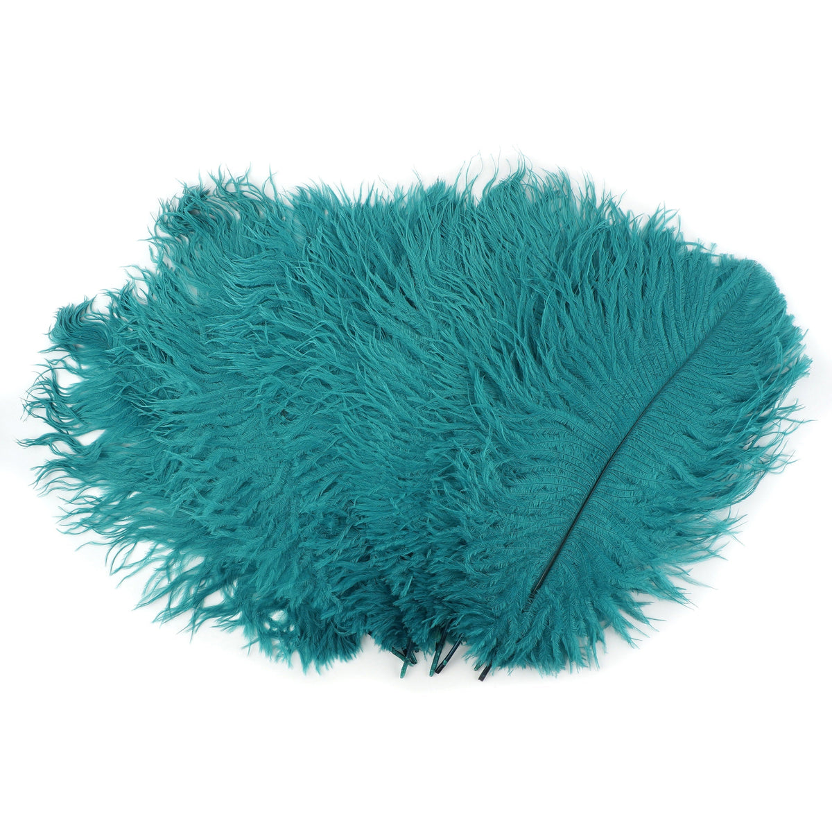 Ostrich Feathers 13-16" Drabs - Dark Aqua