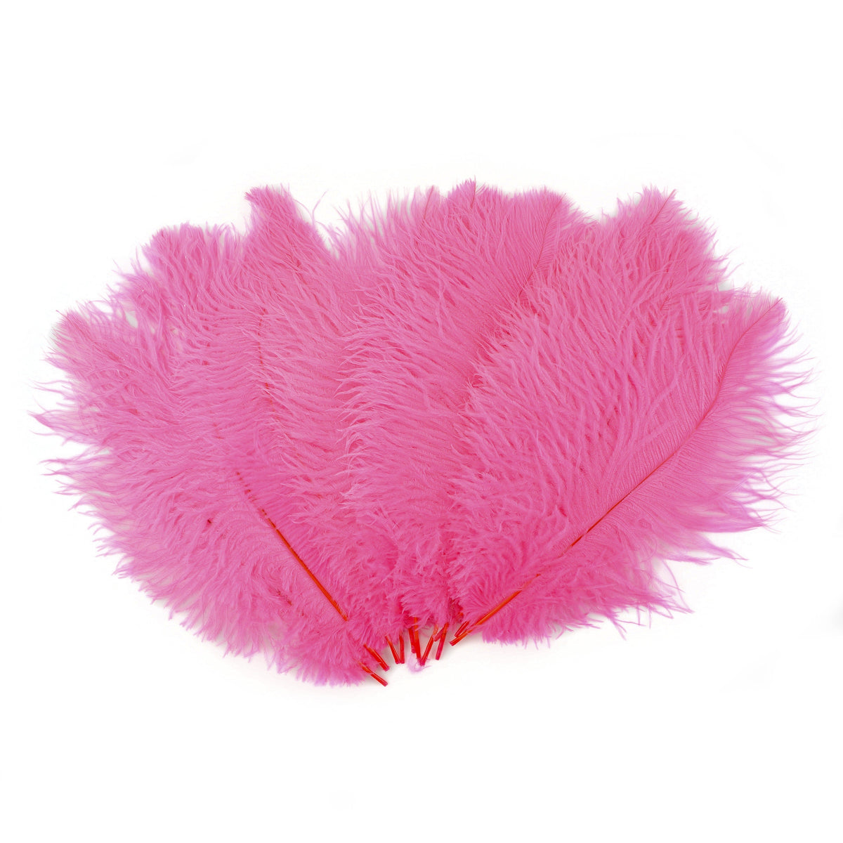 Ostrich Feathers 13-16" Drabs - Pink Orient