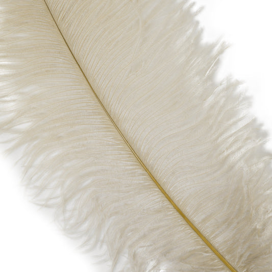 Large Ostrich Feathers - 17"+ Drabs - Ivory