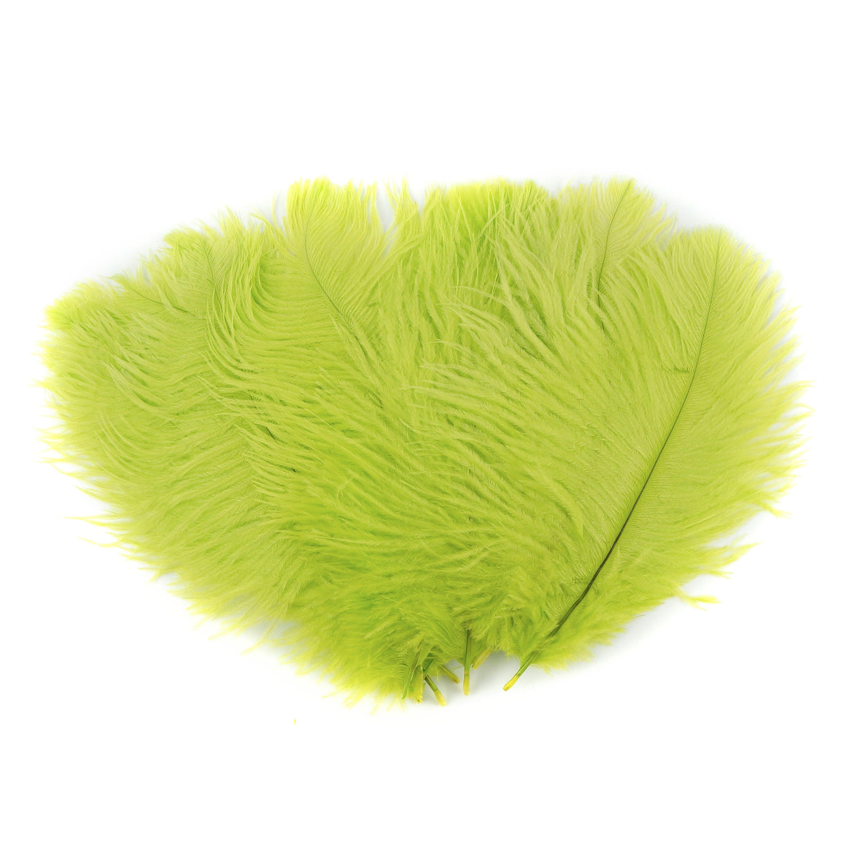 Ostrich Feathers 4-8" Drabs - Lime