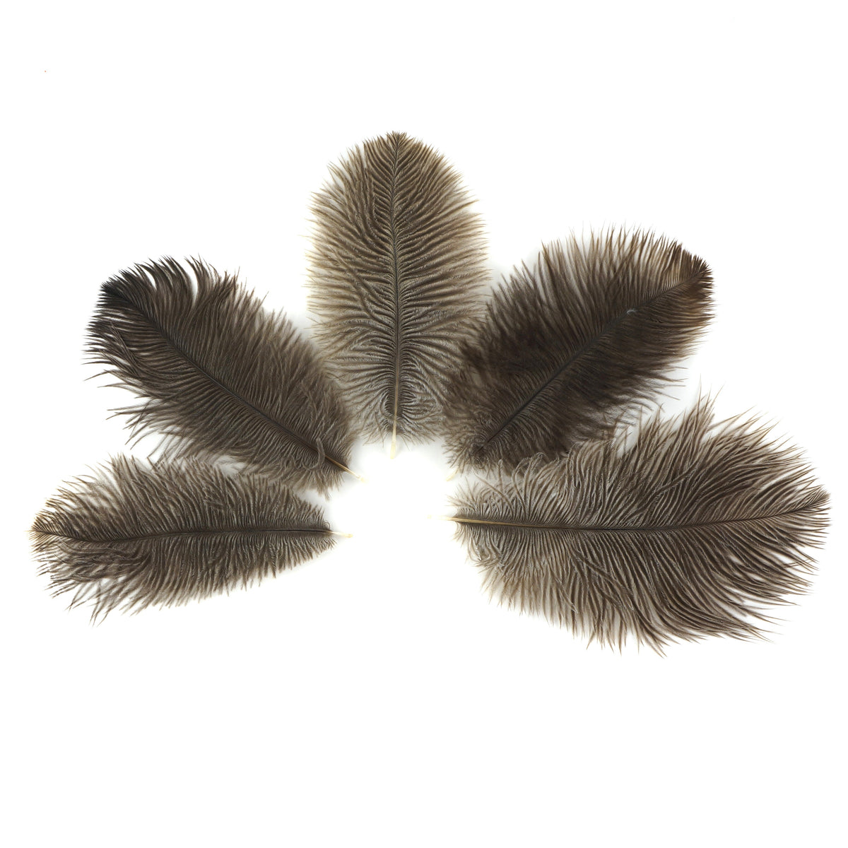 Ostrich Feathers 4-8" Drabs - Natural