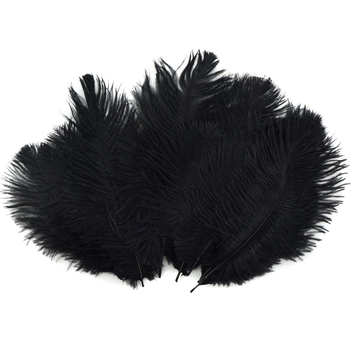 Ostrich Feathers 4-8" Drabs - Black