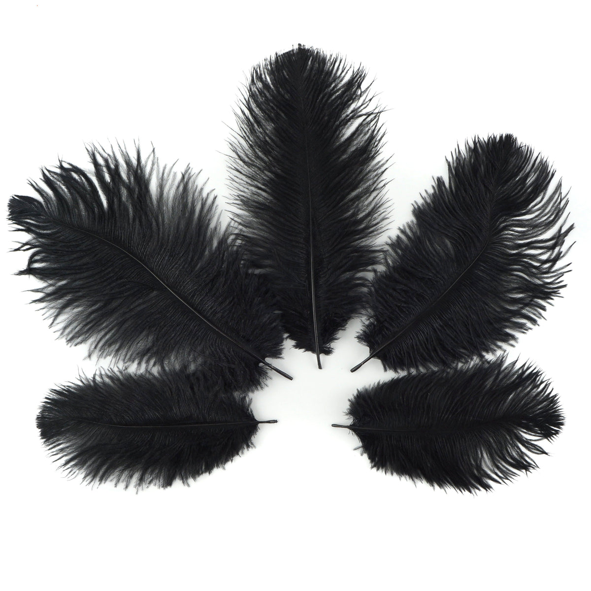 Ostrich Feathers 4-8" Drabs - Black