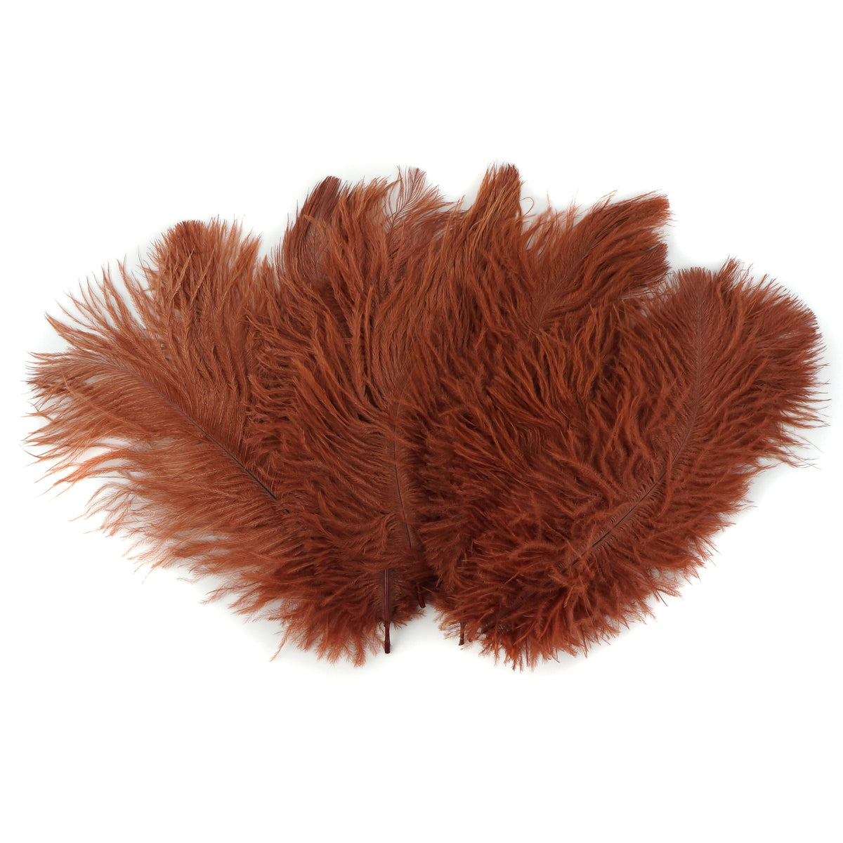 Ostrich Feathers 4-8" Drabs - Copper