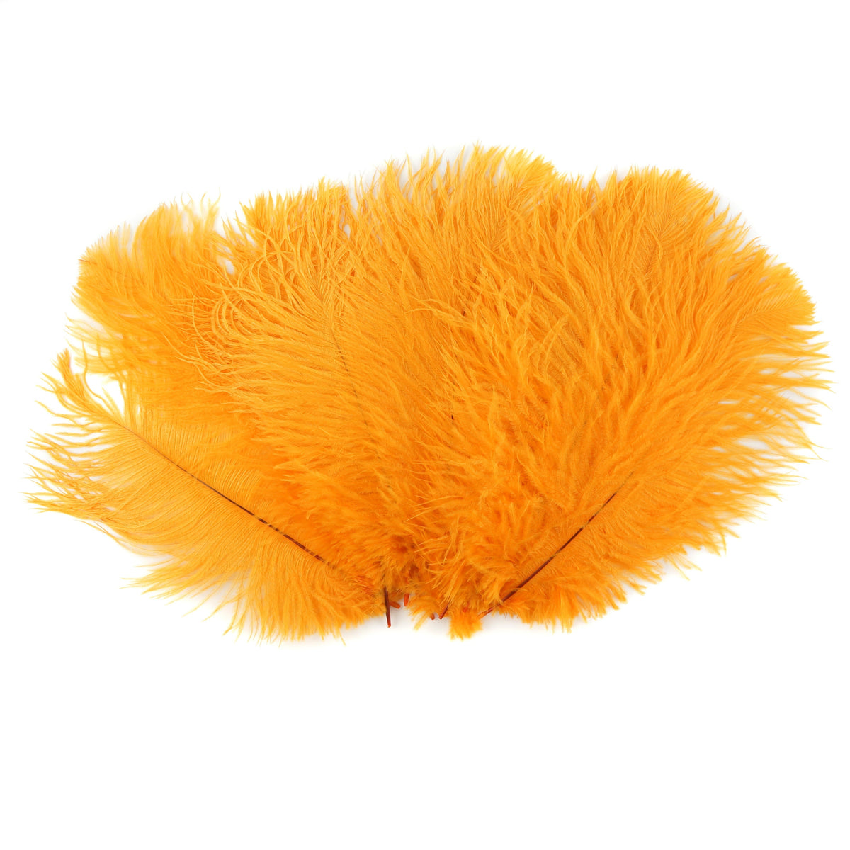 Ostrich Feathers 9-12" Drabs - Mango