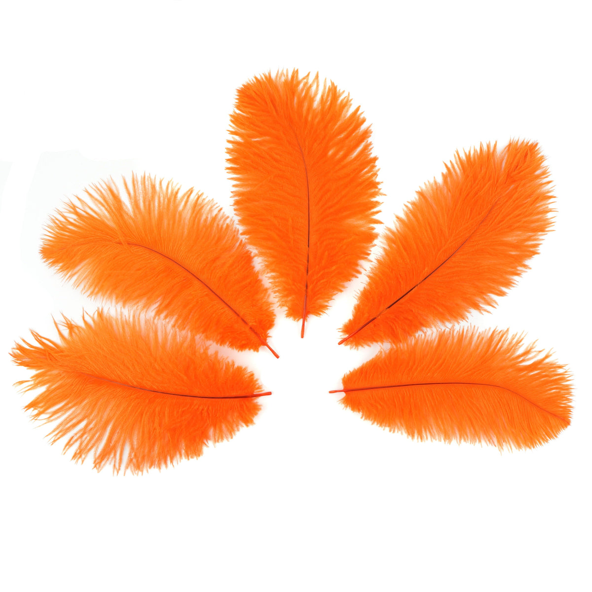 Ostrich Feathers 9-12" Drabs - Orange