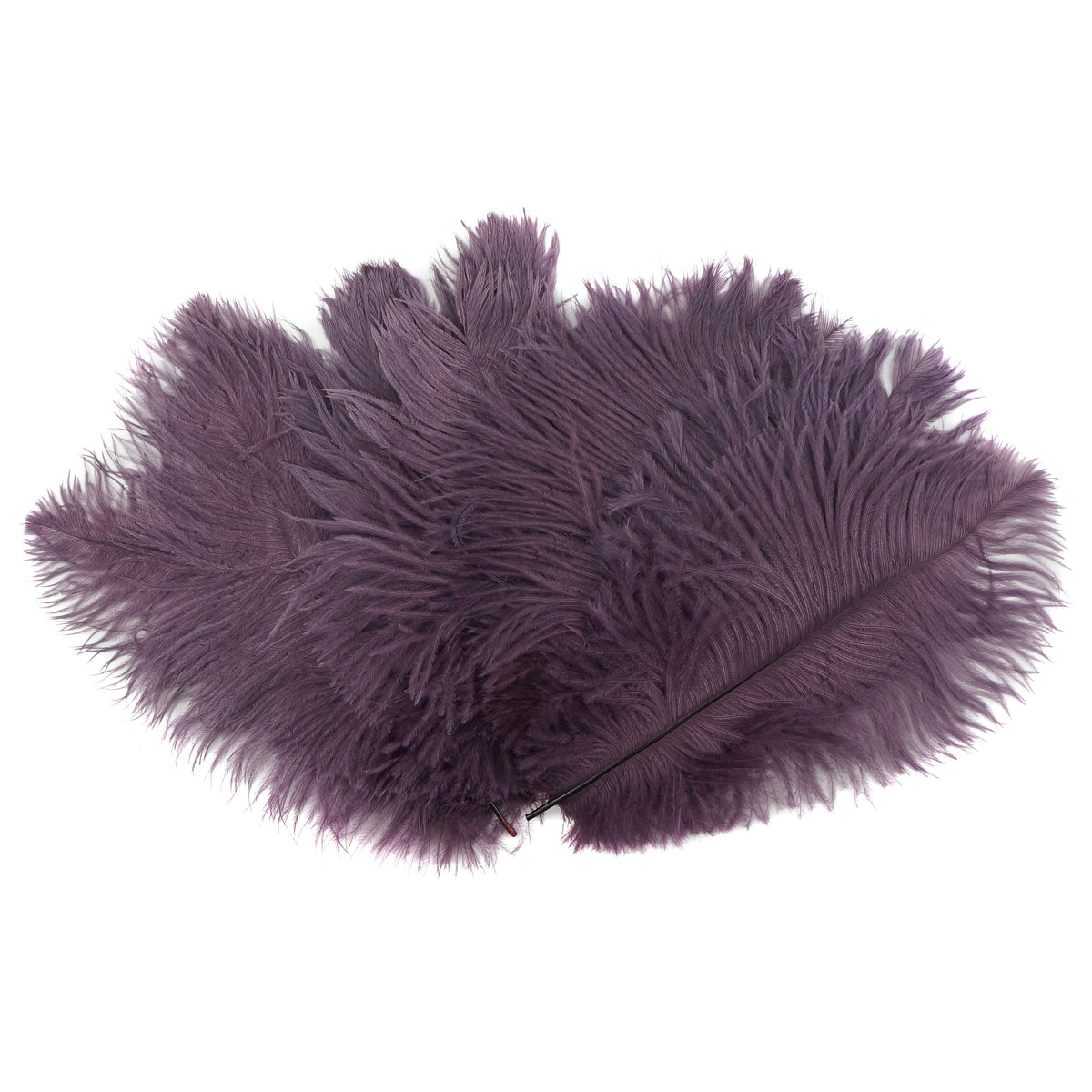 Ostrich Feathers 9-12" Drabs -  Amethyst
