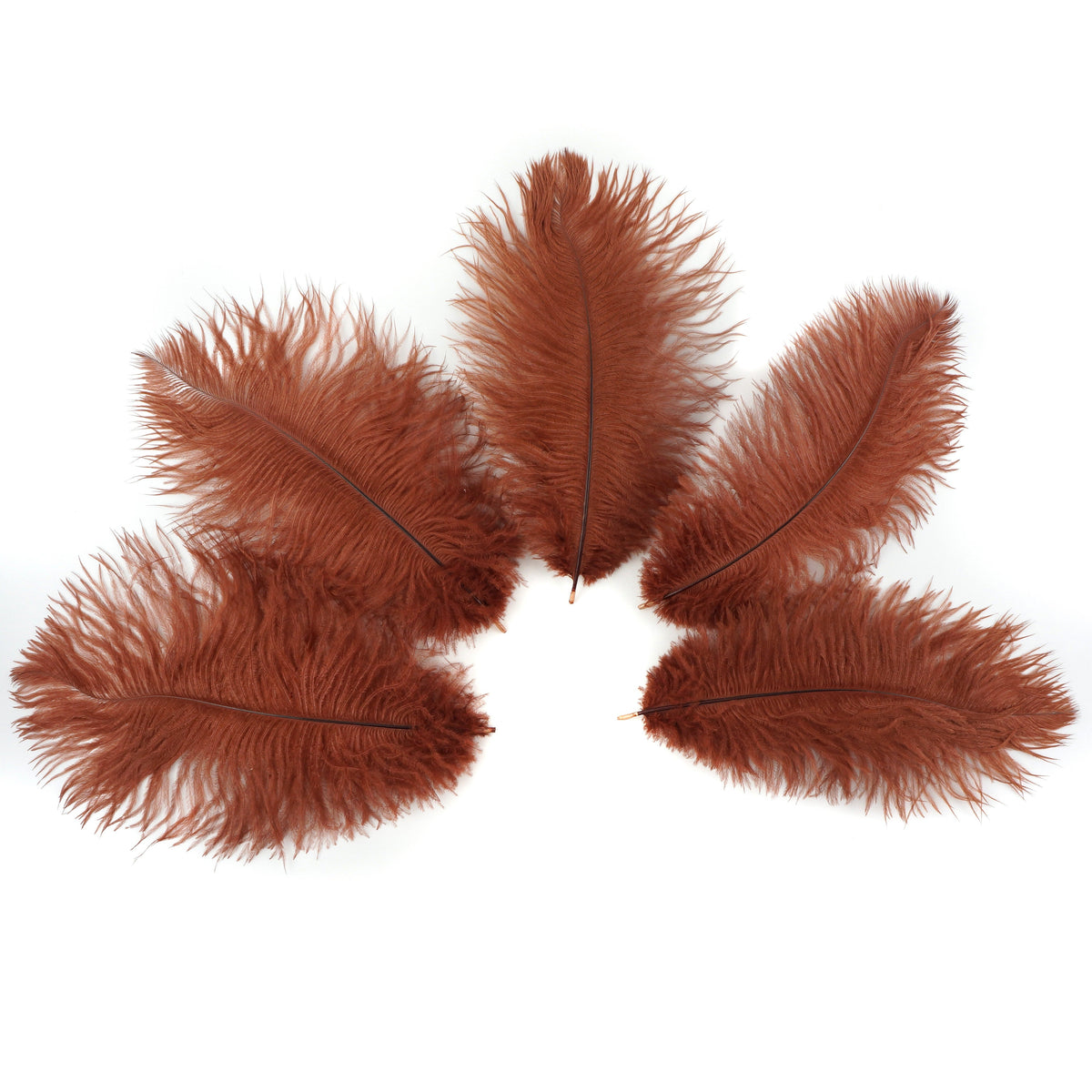 Ostrich Feathers 9-12" Drabs - Copper