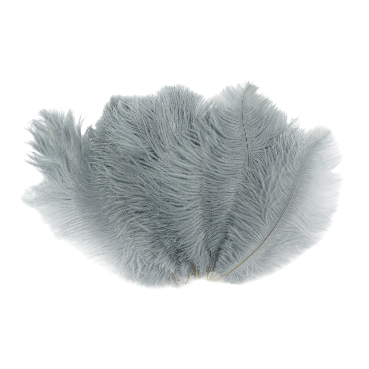 Ostrich Feathers 9-12" Drabs - Silver