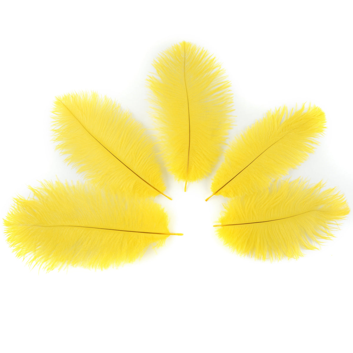 Ostrich Feathers 9-12" Drabs - Yellow