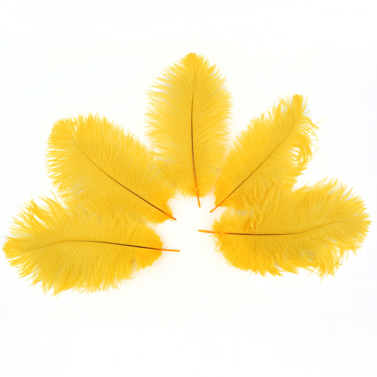 Ostrich Feathers 9-12" Drabs - Gold