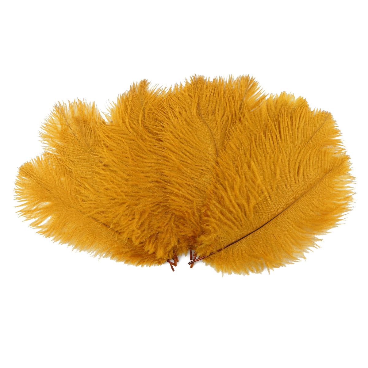 Ostrich Feathers 9-12" Drabs - Marigold