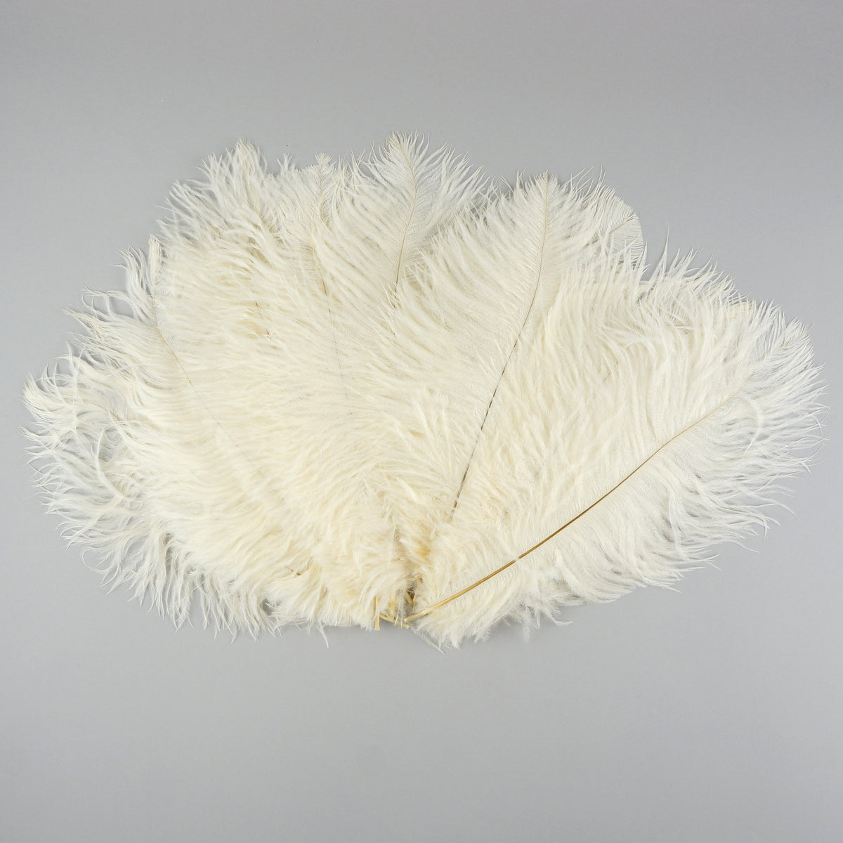 Ostrich Feathers 9-12" Drabs - Ivory