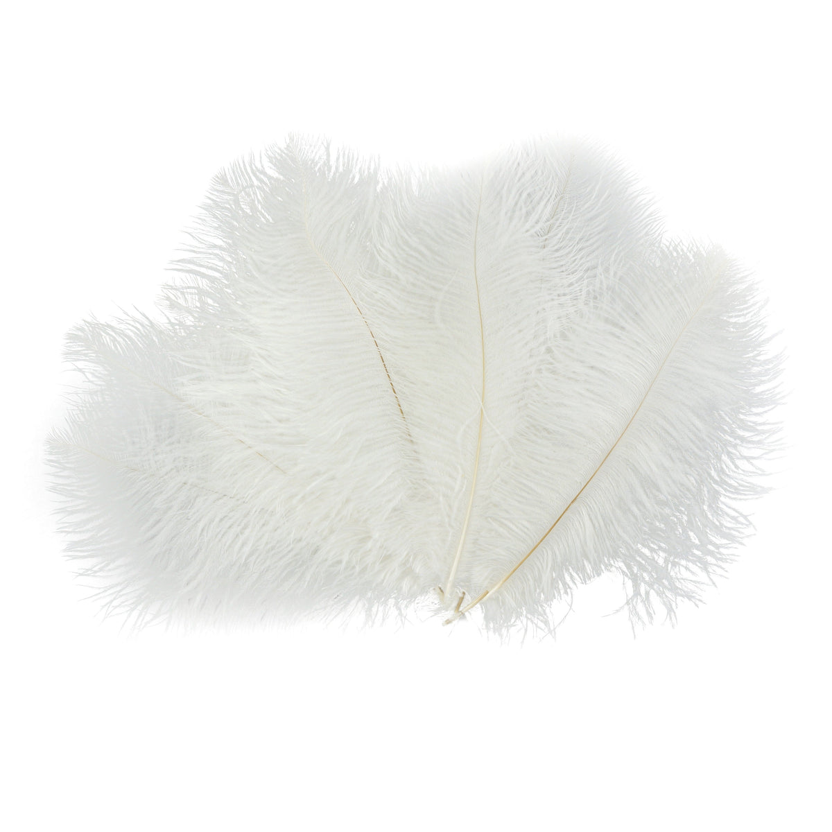 Ostrich Feathers 9-12" Drabs -  White