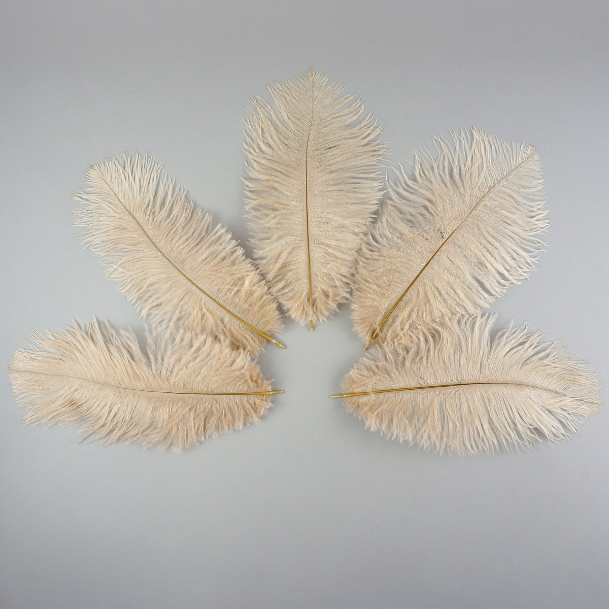 Ostrich Feathers 9-12" Drabs -  Beige