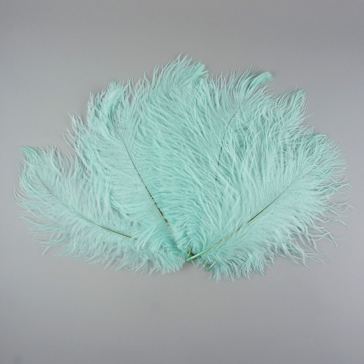 Ostrich Feathers 9-12" Drabs - Mint