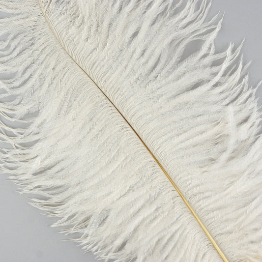 Ostrich Feathers 9-12" Drabs - Ivory