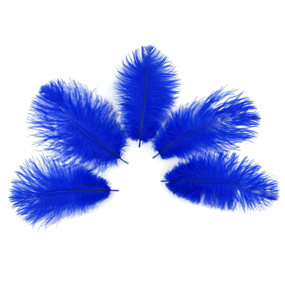 Ostrich Feathers 4-8" Drabs - Royal