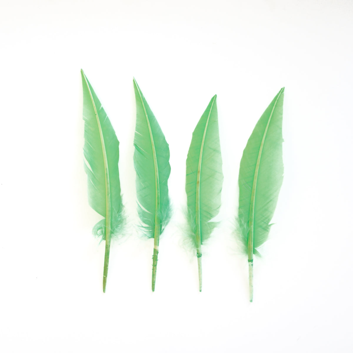 Fluorescent Lime Green Dagger Turkey Quill Feathers 9-12"