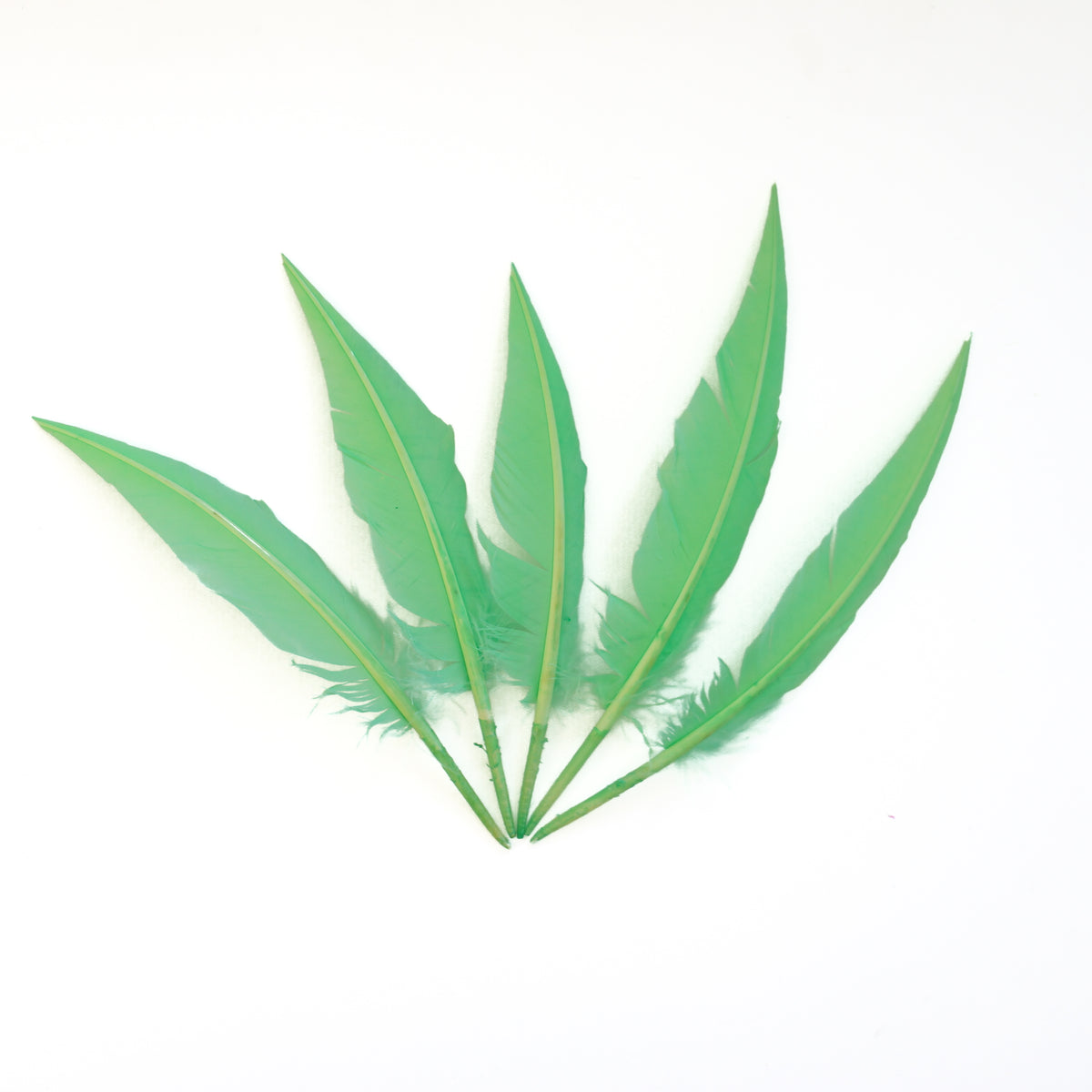 Fluorescent Lime Green Dagger Turkey Quill Feathers 9-12"