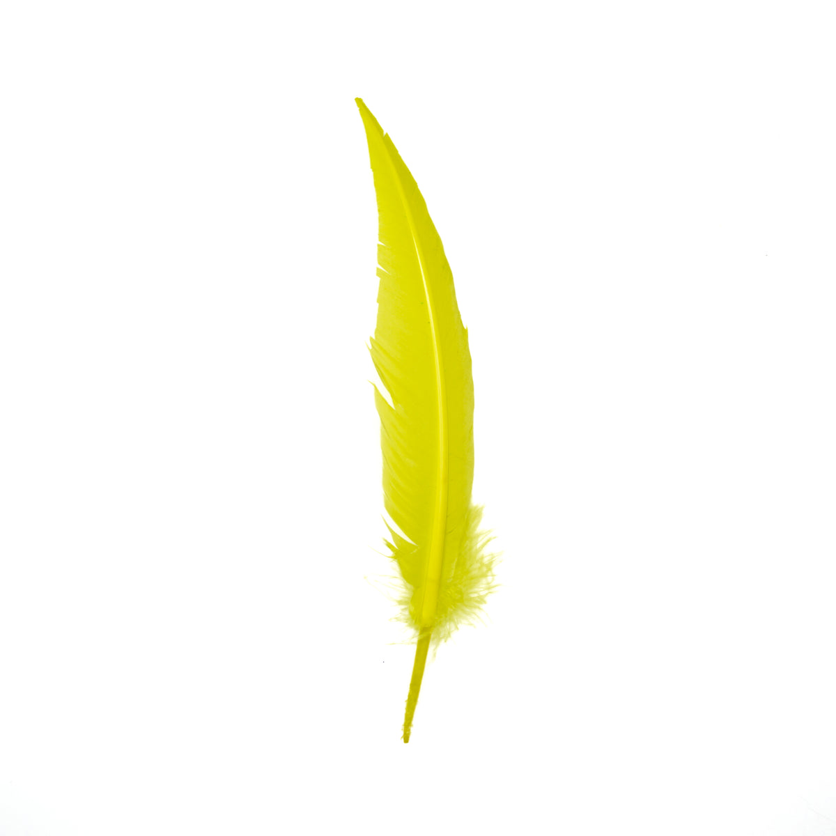 Fluorescent Yellow Dagger Turkey Quill Feathers 9-12"