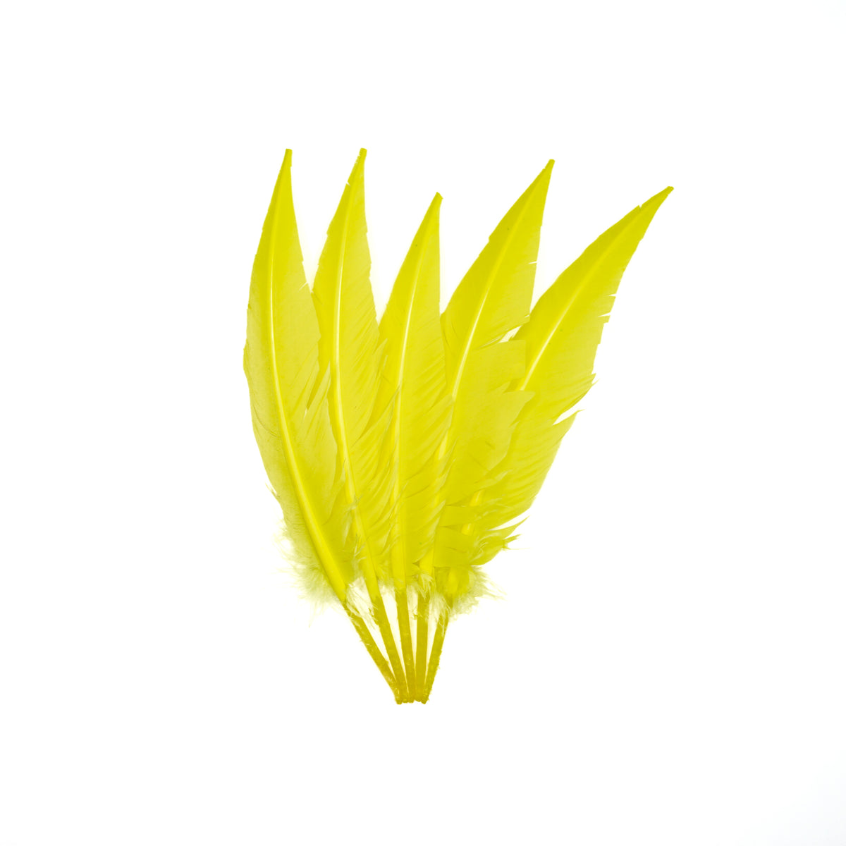 Fluorescent Yellow Dagger Turkey Quill Feathers 9-12"