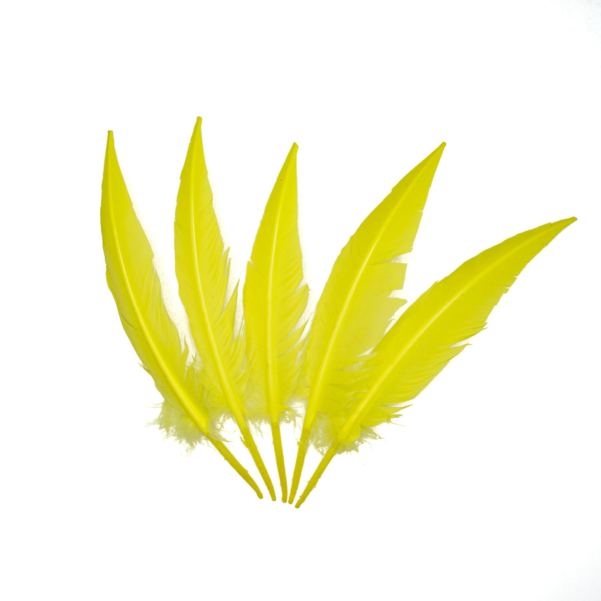 Fluorescent Yellow Dagger Turkey Quill Feathers 9-12"