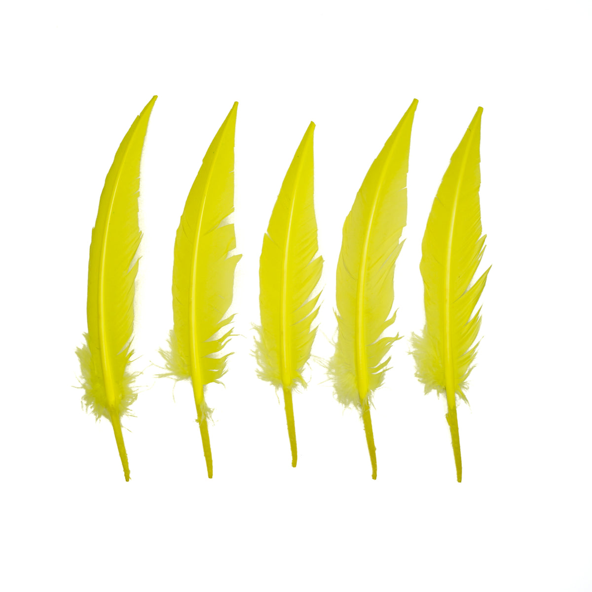 Fluorescent Yellow Dagger Turkey Quill Feathers 9-12"