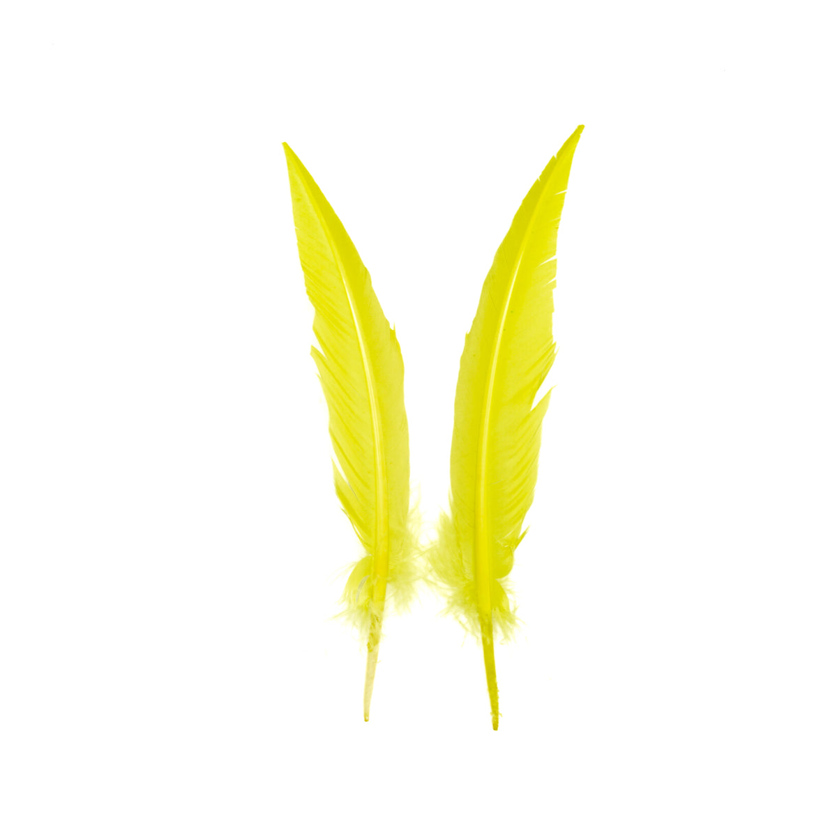 Fluorescent Yellow Dagger Turkey Quill Feathers 9-12"
