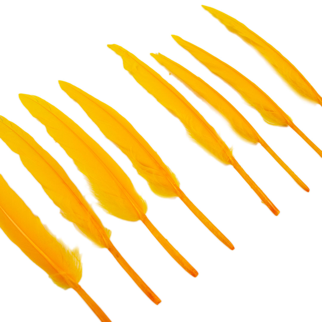 Duck Cosse Feathers - 3 - 6"-Gold